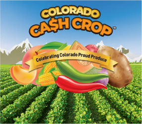 COLORADO CA$H CROP™ scratch-off ticket