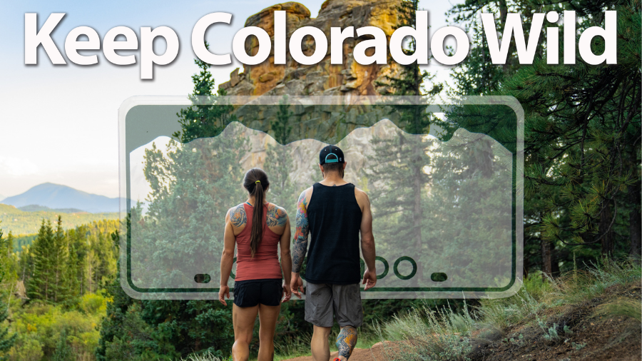 Mantenga Colorado salvaje. Hombre y mujer caminando hacia las montañas en verano, con una superposición transparente de matrícula de Colorado.