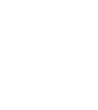 brain