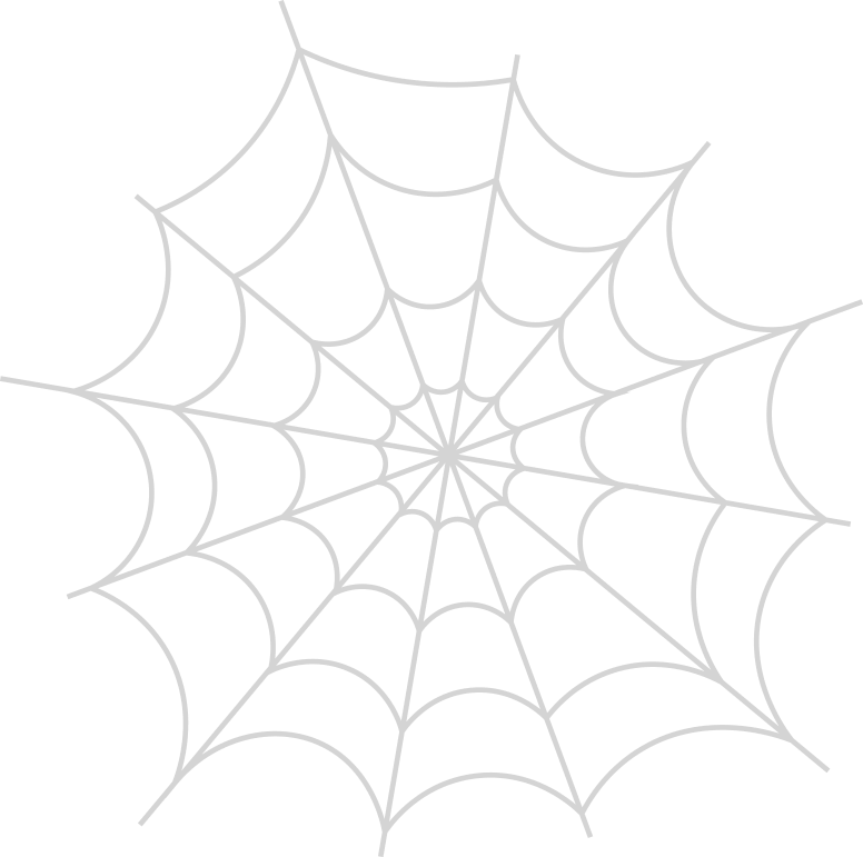 Spider Web