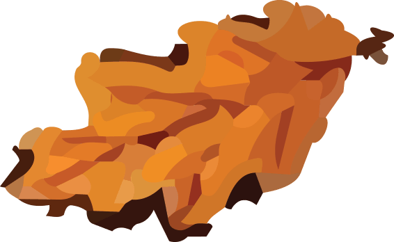 Fall Leaf