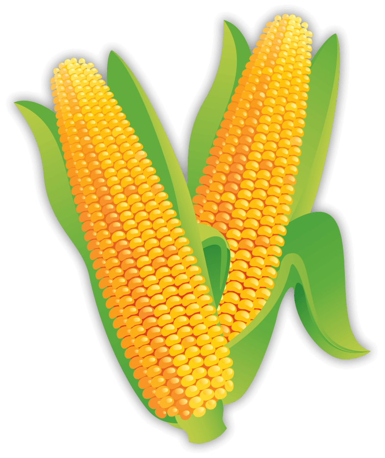 Corn Cobs