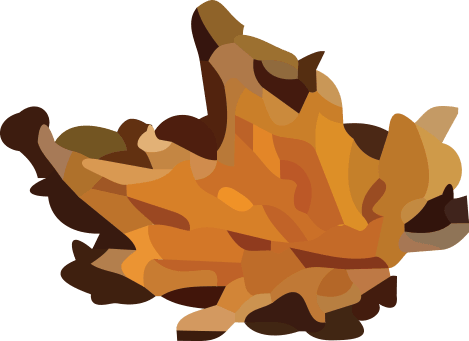 Fall Leaf