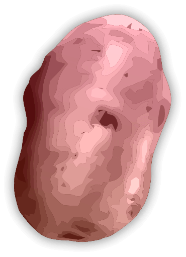 Red Potato